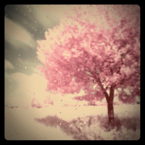 Meet your Posher, Tayana - Picture 1 of 1